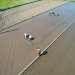 DJI_0104.JPG