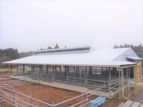 牛舎建設工事（新富町）H様