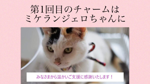 Charms for Animals 結果報告