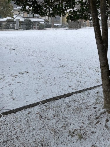 最後の雪に.jpg