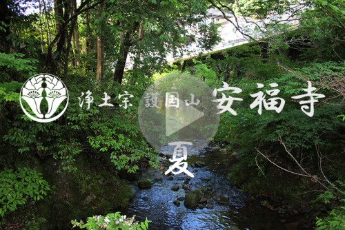 夏の安福寺.jpg