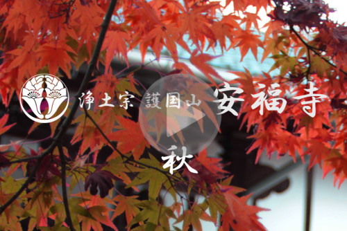 秋の安福寺.jpg