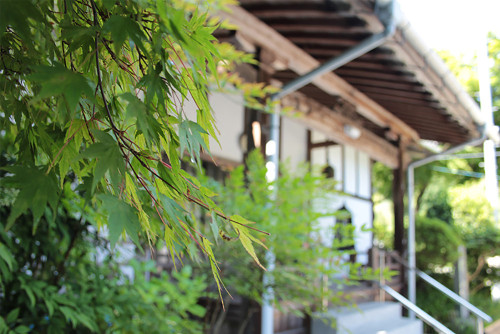 花まつり.jpg