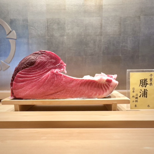鮪も春めいて来ました。