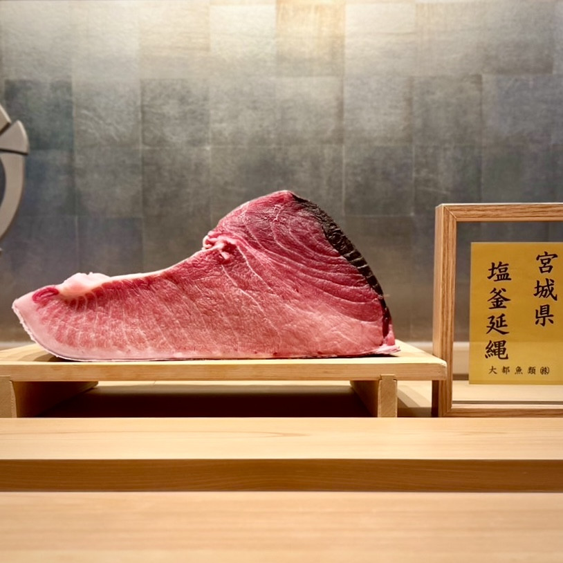 宮城 塩釜／102kg 腹上