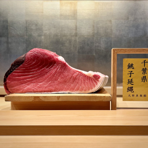 千葉銚子／124kg 腹上。