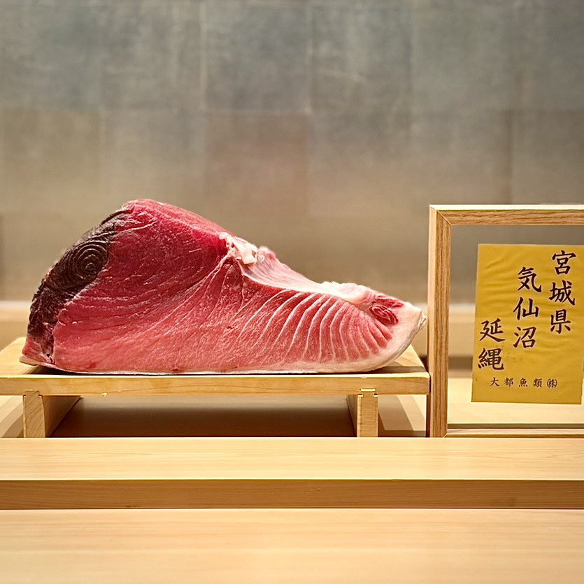 宮城気仙沼／120kg 腹中。