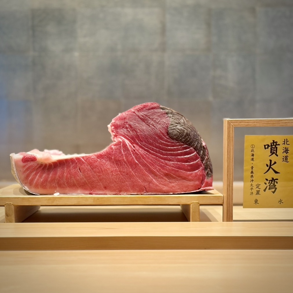 北海道 噴火湾／135kg 腹上