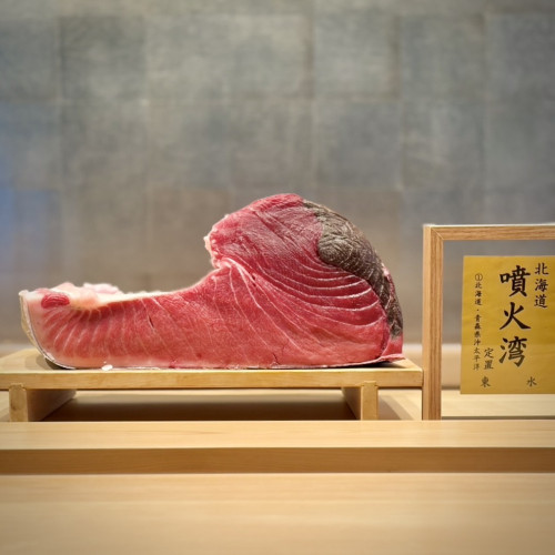 北海道 噴火湾／135kg 腹上