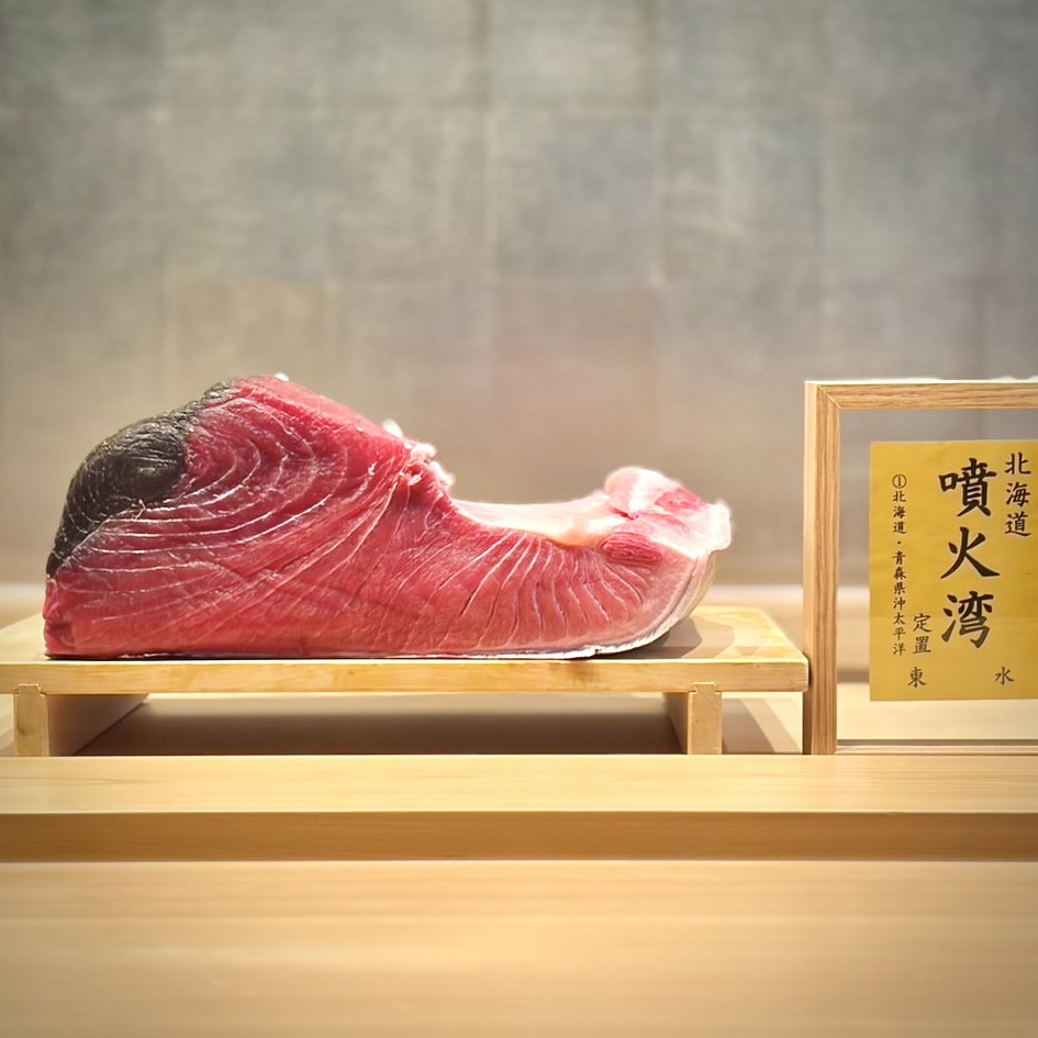 北海道 噴火湾／110kg 腹上。