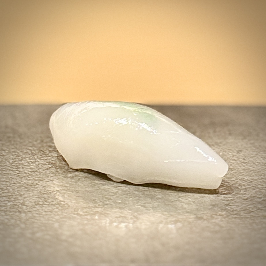 鹿児島の新烏賊。
