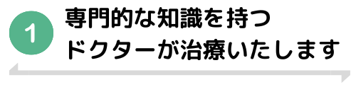 3.様々な種類の入れ歯をご提案 (4).png