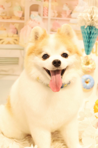 thumbnail_CCDCD9F6-02FF-4B11-AAB5-EE2B36A797162025-03-23_17-23-21_840.jpg