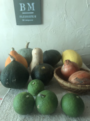 IMG_0256.jpeg