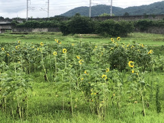 IMG_6028.jpeg