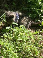 IMG_0163.jpeg