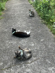 IMG_0199.jpeg