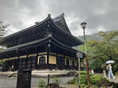 IMG_1418.jpeg