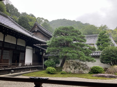IMG_1410.jpeg