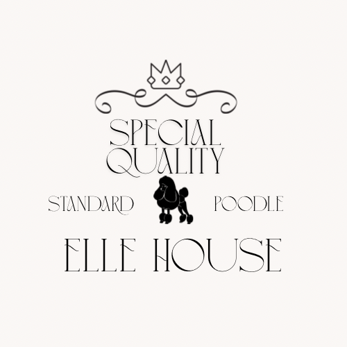 Black and Beige Vintage Classic Poodle Dog Grooming Logo.png