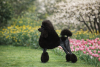 CC6CF823-8CB6-40D5-A893-6A2290F0FC2C.png