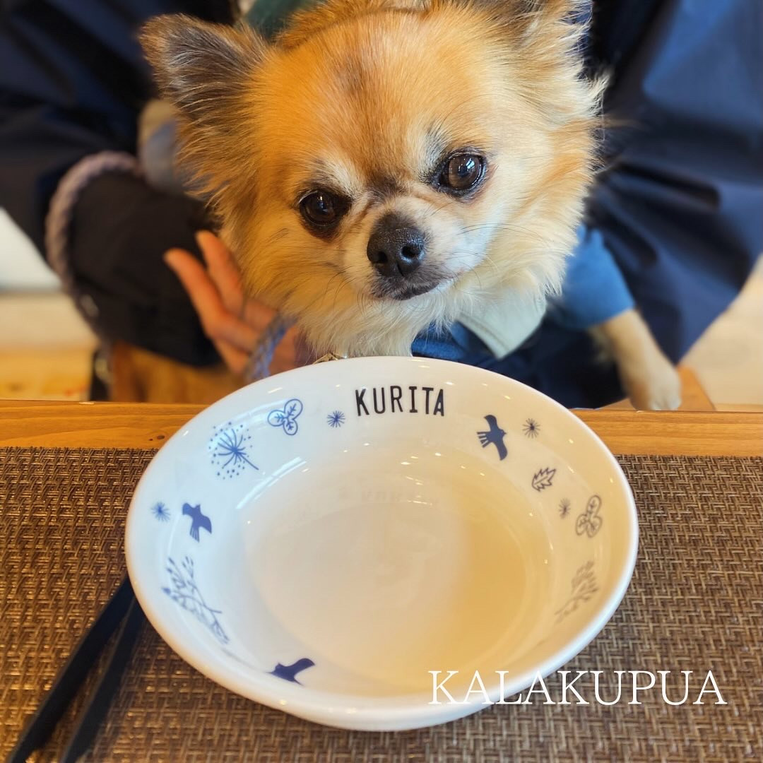 ワンちゃんと一緒に