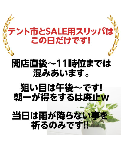 名称未設定 (37).jpg