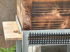 1726491865911.jpg