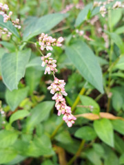 20241006_144018.jpg