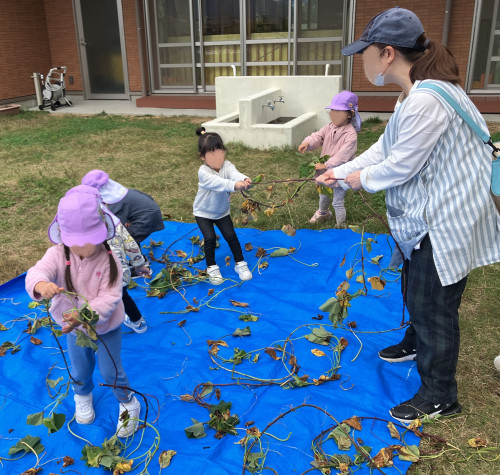 芋つる遊び　2歳.jpg