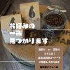 インスタ投稿 (37).png