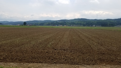 20180504_154343.jpg