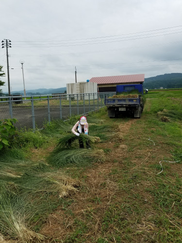 20190804_161652.jpg