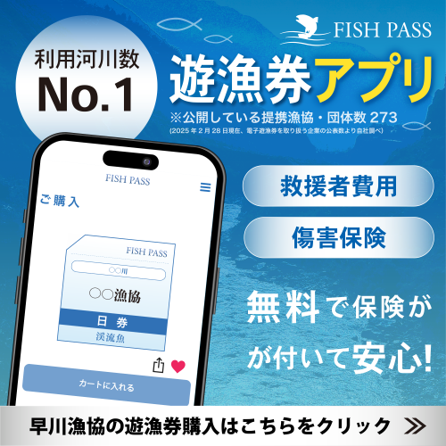 早川漁協バナー_正方形バナー.png