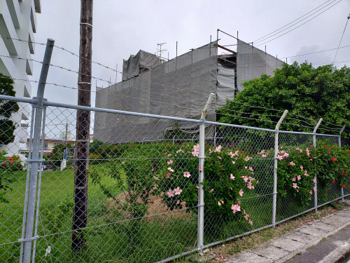 KIMG20240823_154715789.JPG
