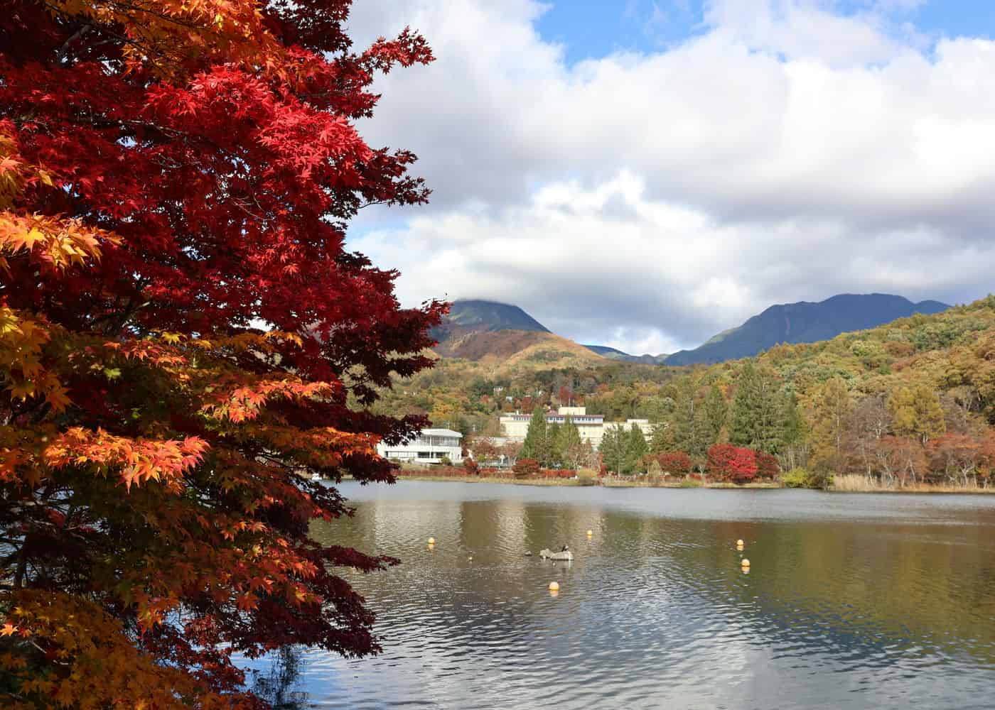 紅葉名残の白樺湖　by H. Kobayashi