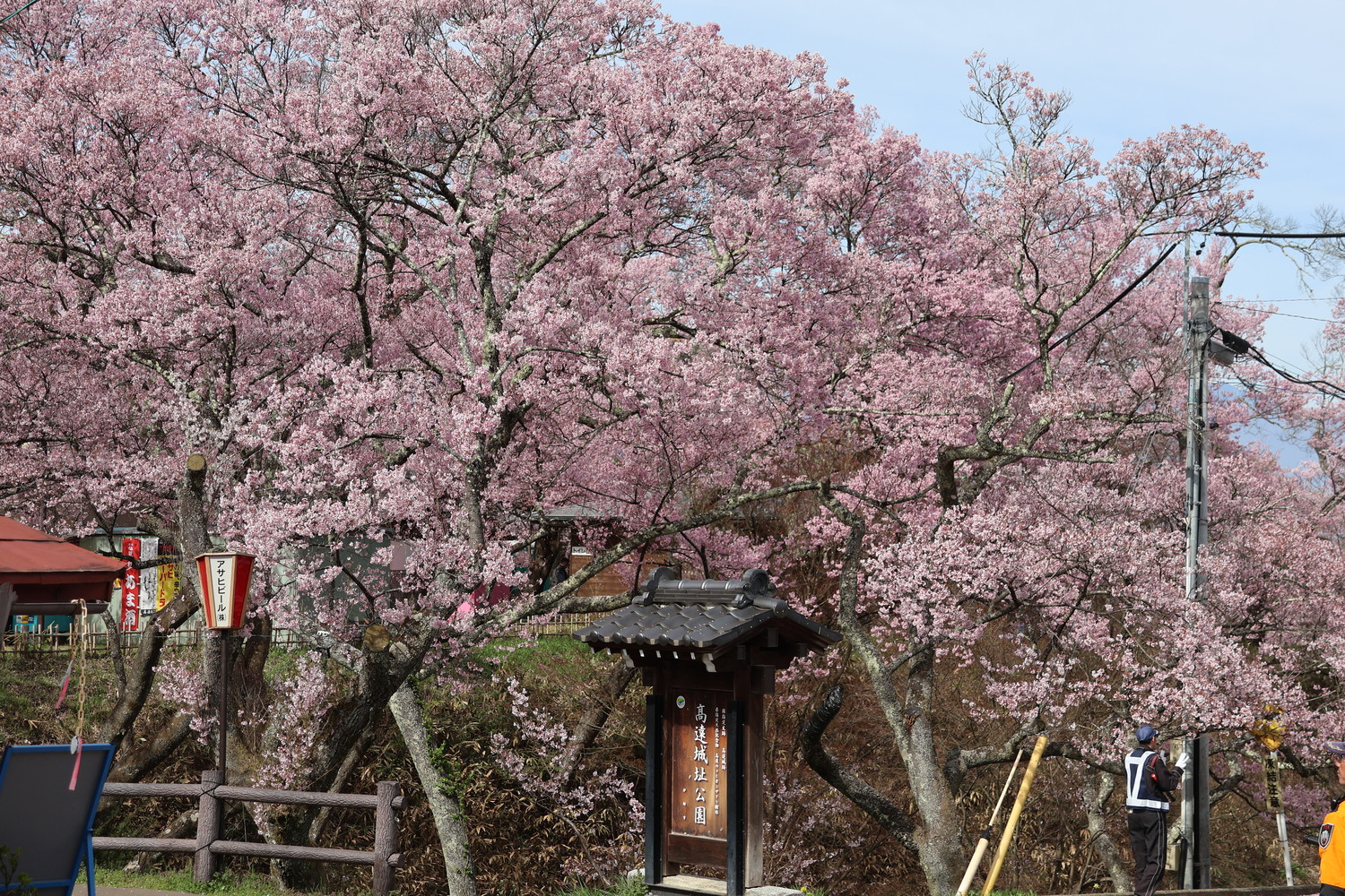 高遠の桜　　by H.Kobayashi