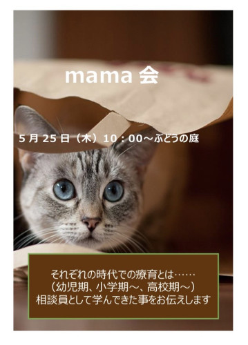 インフォメーション - 相談支援事業所 5628mama/ごろにゃんまま