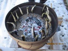 IMG_0746.JPG