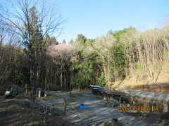 IMG_0966.JPG