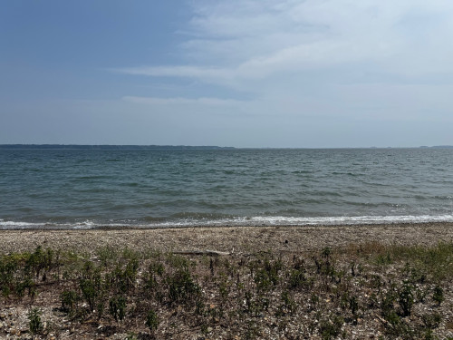 IMG_3871.jpg