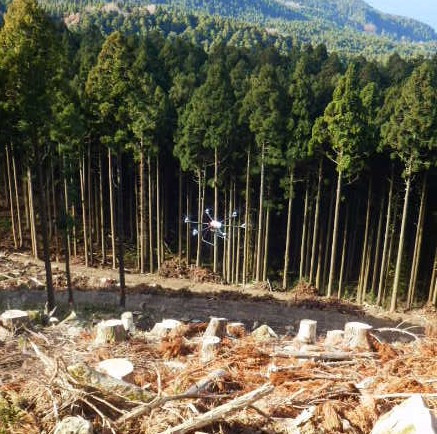 ドローンを活用した植林や森林資源調査（丹生支所）