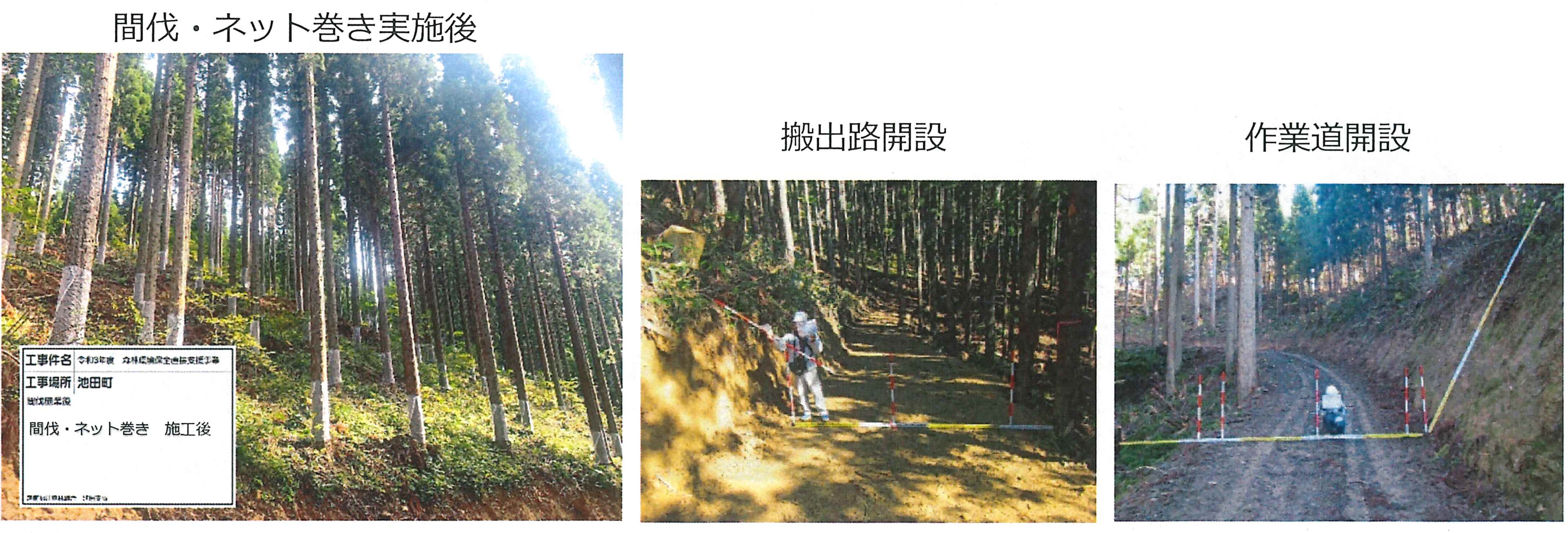 間伐・ネット巻き　搬出路　作業道