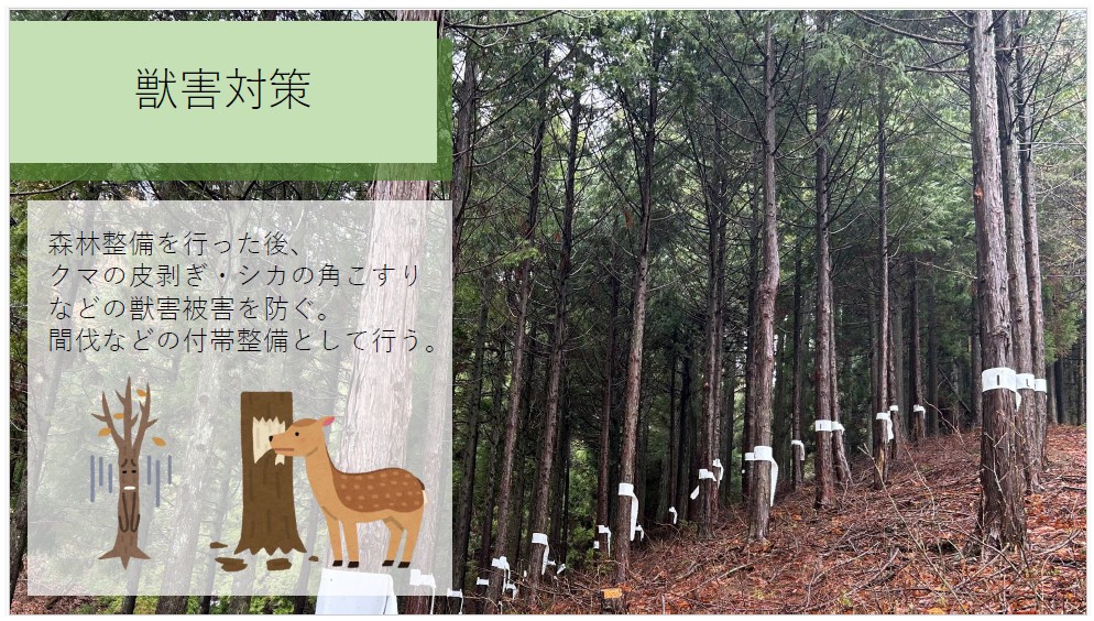 森林整備事業について