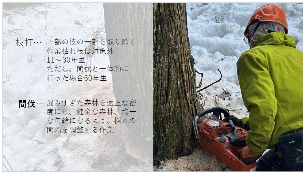 森林整備事業について