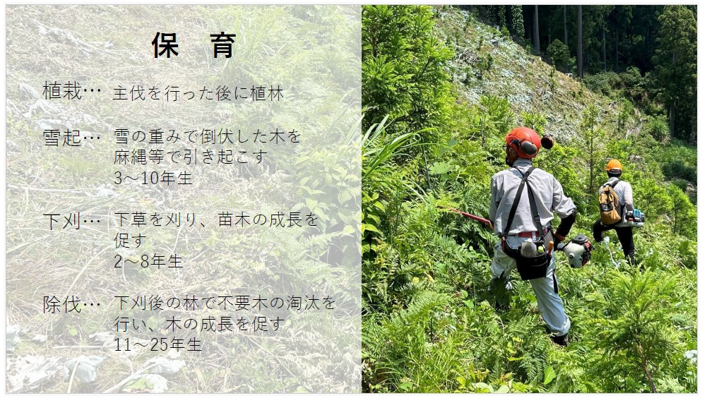 森林整備事業について