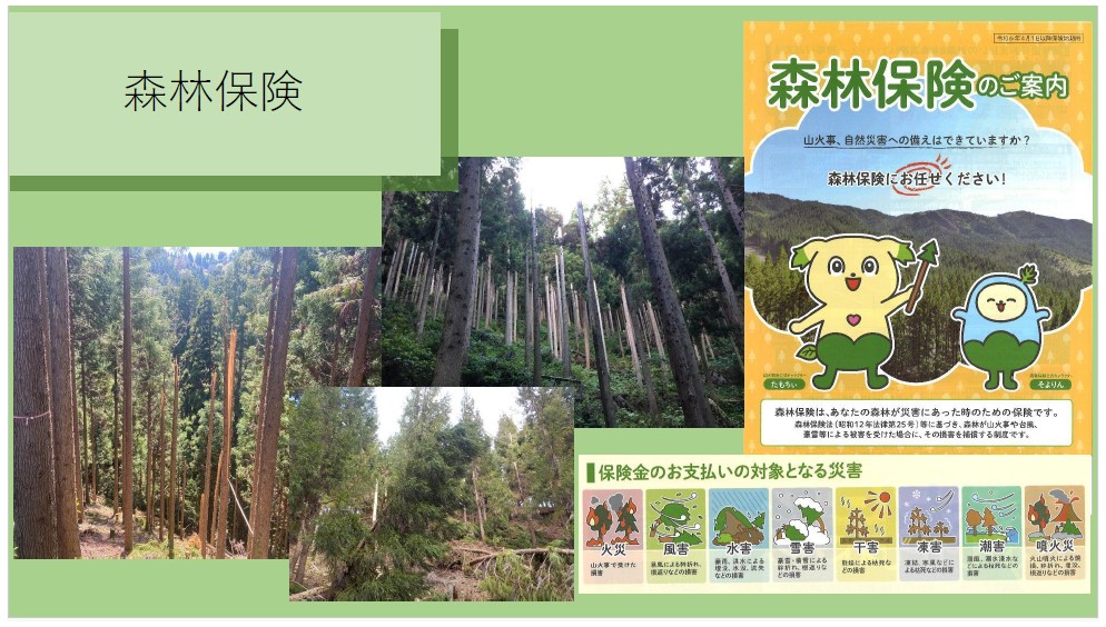 森林整備事業について