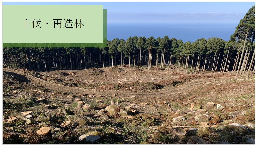 森林整備事業について