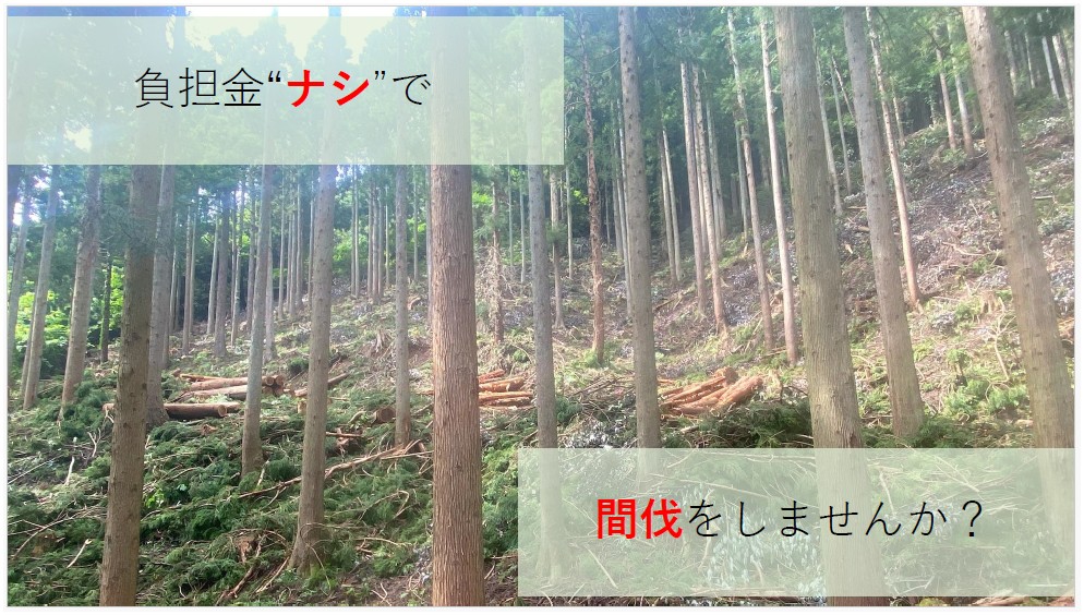 森林整備事業について