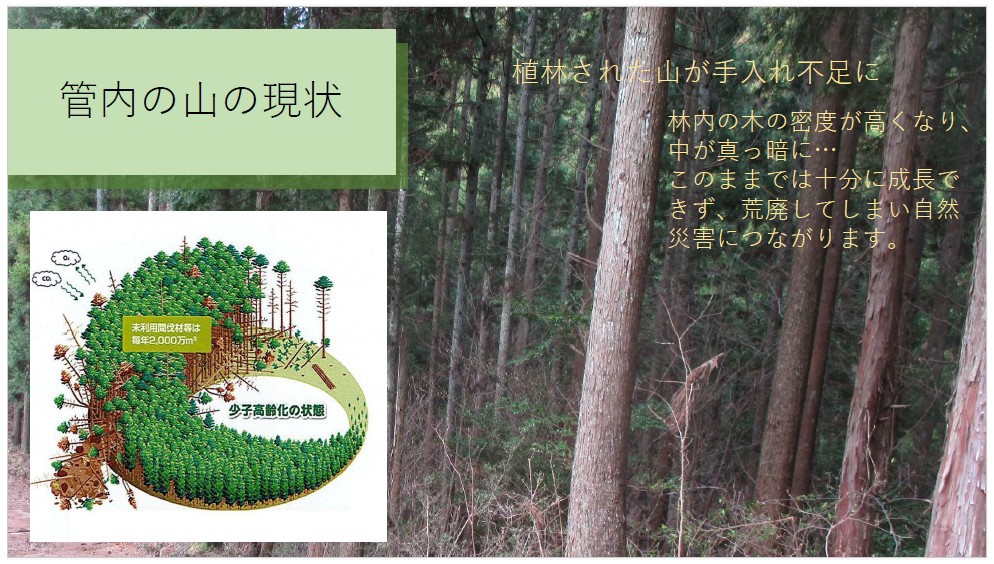 森林整備事業について